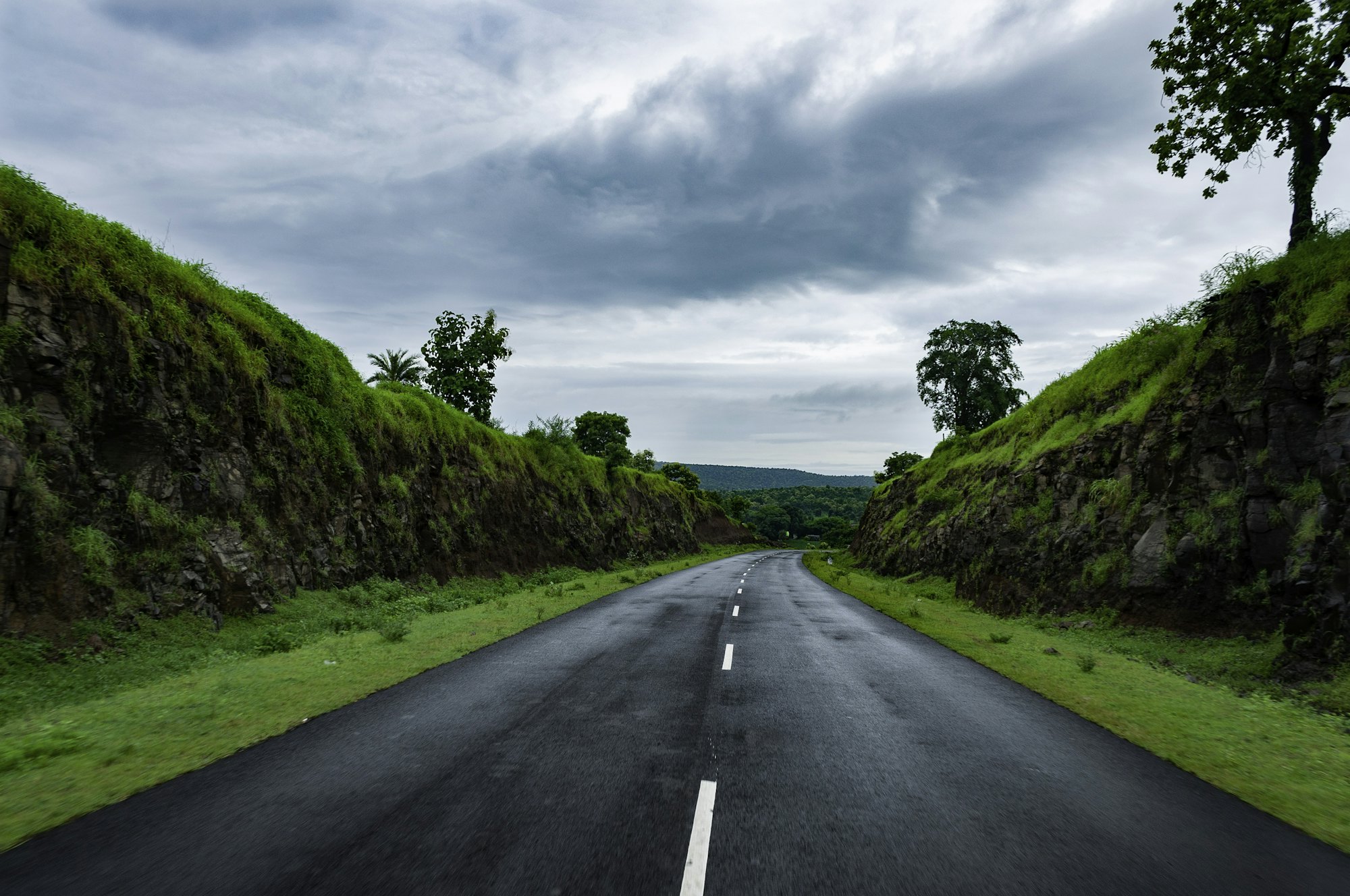 Open road through green fields